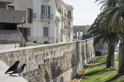 Tra panorami, folklore e storia, la pi� bella passeggiata di Bari: quella sulla Muraglia